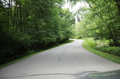 Enlarge photo 59