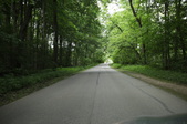 Enlarge photo 61