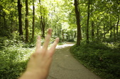 Enlarge photo 62