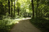Enlarge photo 63