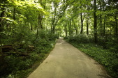 Enlarge photo 64