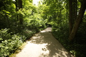 Enlarge photo 65