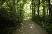Enlarge photo 66