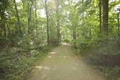 Enlarge photo 67