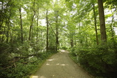Enlarge photo 68