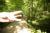 Enlarge photo 69