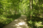 Enlarge photo 70