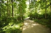 Enlarge photo 72