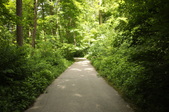 Enlarge photo 73