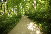 Enlarge photo 74