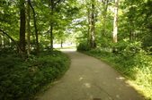 Enlarge photo 75