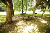 Enlarge photo 76