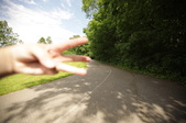 Enlarge photo 81