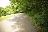 Enlarge photo 82
