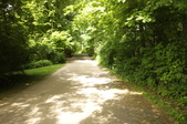 Enlarge photo 83