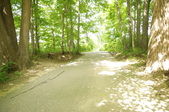 Enlarge photo 84