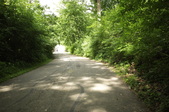 Enlarge photo 85