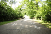 Enlarge photo 86