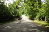 Enlarge photo 87