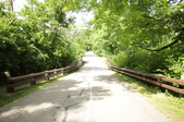 Enlarge photo 88