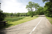 Enlarge photo 90