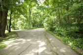 Enlarge photo 91