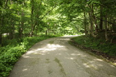 Enlarge photo 92