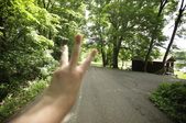 Enlarge photo 93