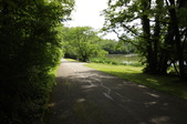 Enlarge photo 95