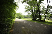 Enlarge photo 96