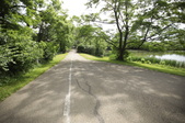 Enlarge photo 98
