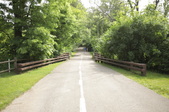 Enlarge photo 99