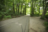 Enlarge photo 102