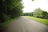 Enlarge photo 103