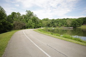 Enlarge photo 105