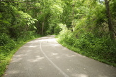 Enlarge photo 108