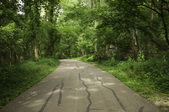 Enlarge photo 109
