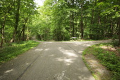 Enlarge photo 110
