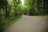 Enlarge photo 111