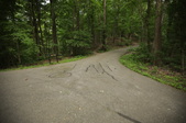 Enlarge photo 112