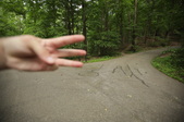 Enlarge photo 113