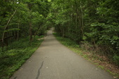 Enlarge photo 114