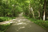Enlarge photo 115