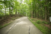 Enlarge photo 116