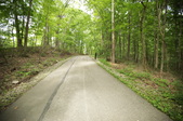 Enlarge photo 117