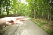 Enlarge photo 118