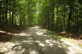 Enlarge photo 119