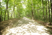 Enlarge photo 120