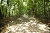 Enlarge photo 121