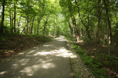 Enlarge photo 122